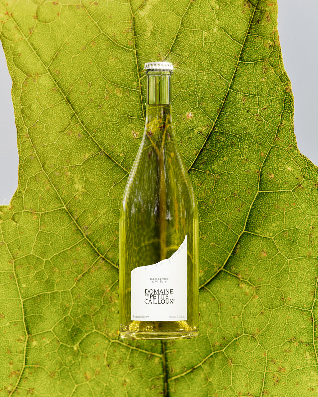Maple White Wine Bubbles