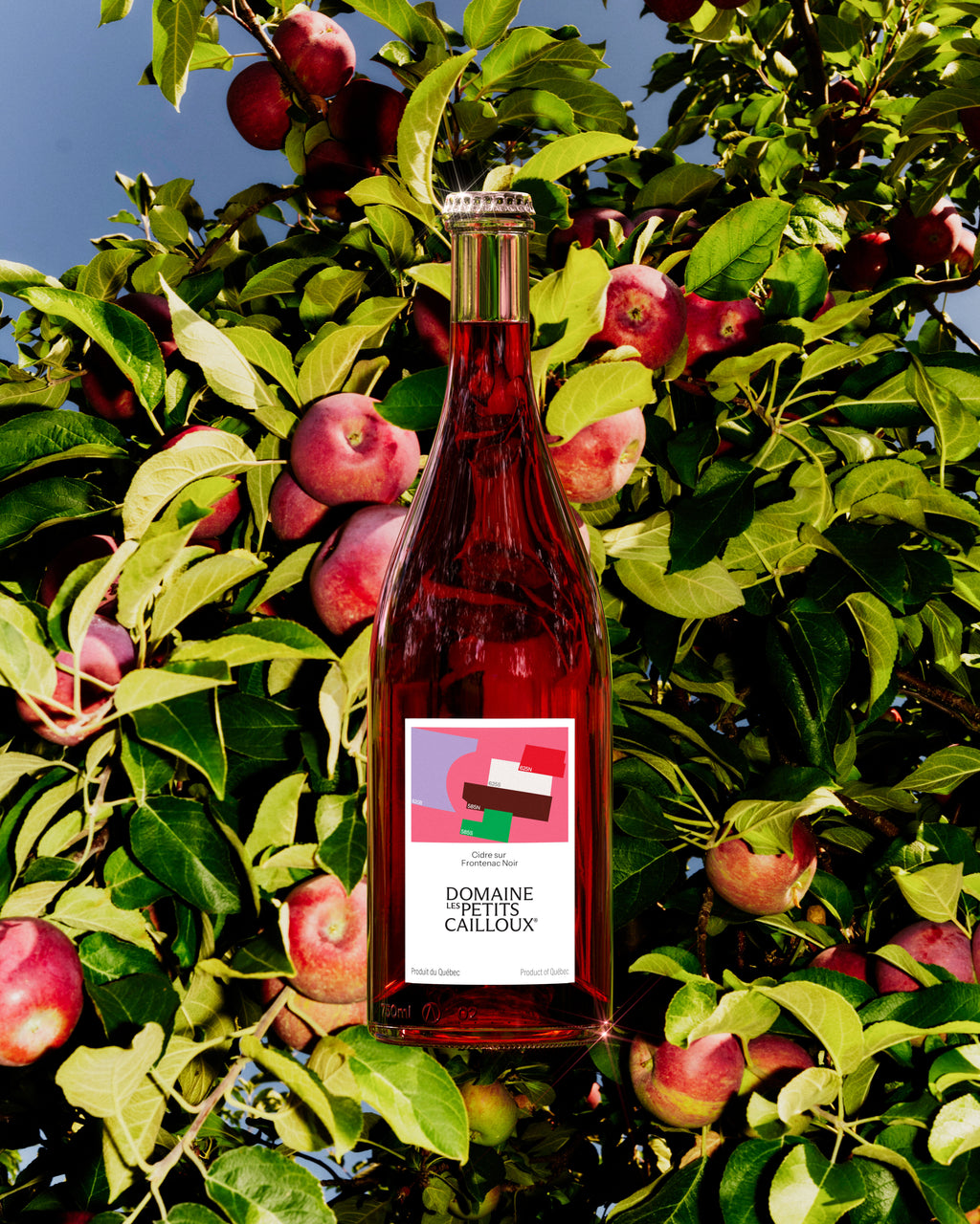 Cider on Frontenac Noir