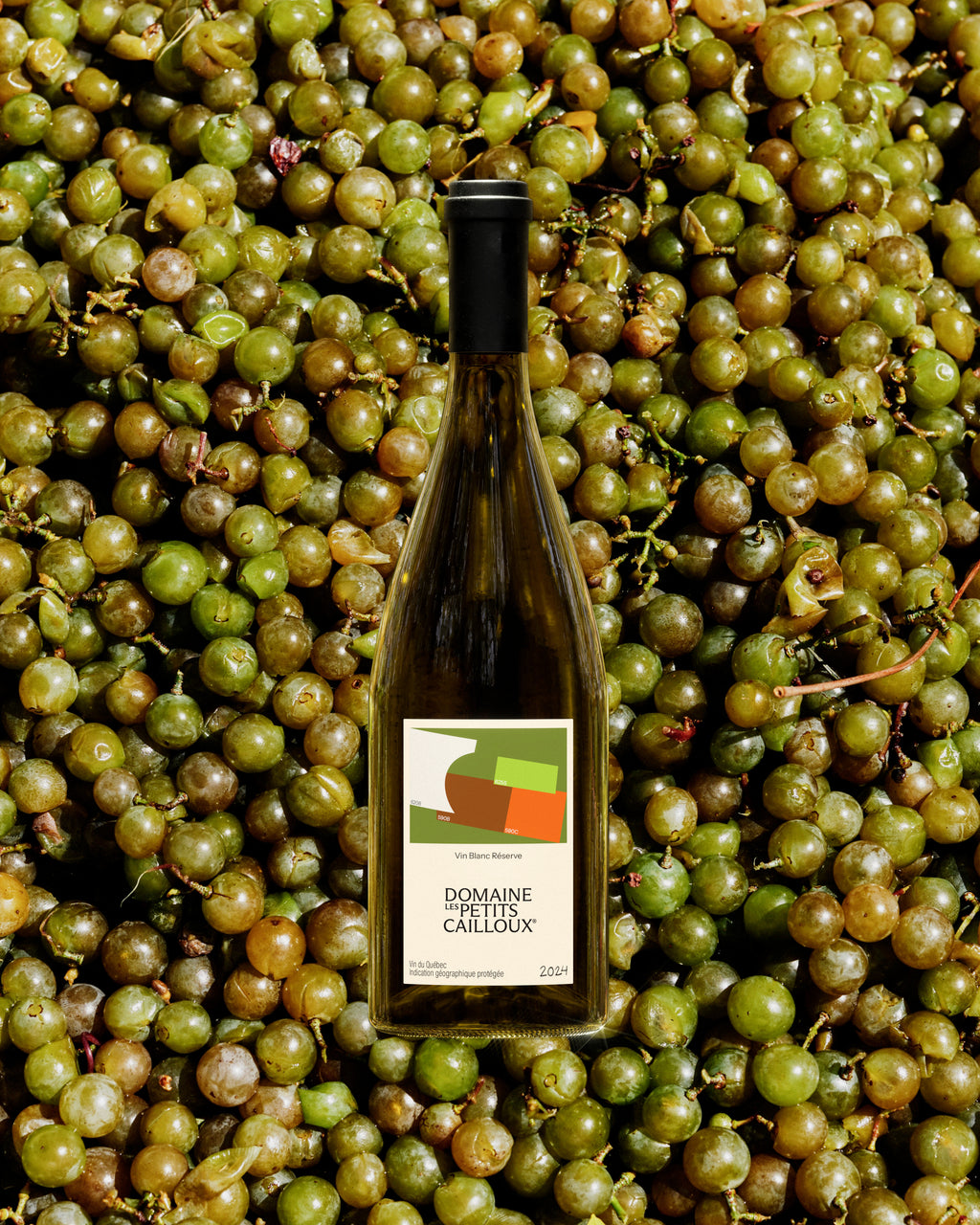 Vin Blanc Réserve